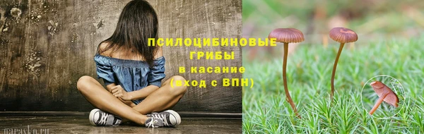 apvp Алексеевка